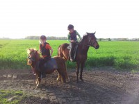 /album/fotogalerij/a20120502-190319-kopie-jpg/